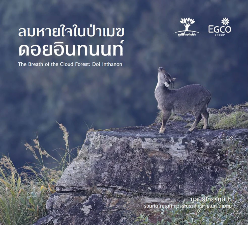 EGCO Group โดย มูลนิธิไทยรักษ์ป่า ชวนมาสัมผัสป่าต้นน้ำและสัตว์ป่าบนดอยอินทนนท์ ในนิทรรศการภาพถ่าย “ลมหายใจในป่าเมฆ ดอยอินทนนท์” ณ หอศิลปกรุงเทพฯ 4 - 16 ก.พ. 68