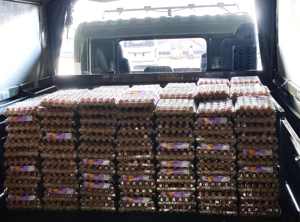 EGCO Group มอบถุงยังชีพและวัตถุดิบประกอบอาหาร ช่วยเหลือผู้ประสบมหาอุทกภัยภาคใต้