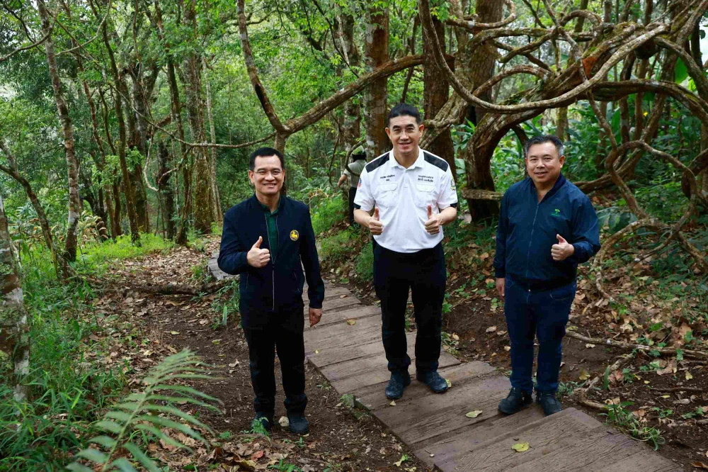 EGCO Group โดย มูลนิธิไทยรักษ์ป่า ส่งมอบ “เส้นทางศึกษาธรรมชาติยอดดอยปุย” เส้นทางป่าหลังบ้านเมืองเชียงใหม่ ชูแหล่งเรียนรู้นิเวศประวัติศาสตร์ที่เข้าถึงง่าย