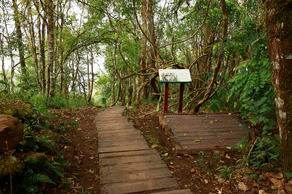 EGCO Group โดย มูลนิธิไทยรักษ์ป่า ส่งมอบ “เส้นทางศึกษาธรรมชาติยอดดอยปุย” เส้นทางป่าหลังบ้านเมืองเชียงใหม่ ชูแหล่งเรียนรู้นิเวศประวัติศาสตร์ที่เข้าถึงง่าย