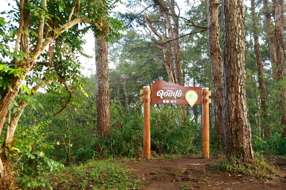 EGCO Group โดย มูลนิธิไทยรักษ์ป่า ส่งมอบ “เส้นทางศึกษาธรรมชาติยอดดอยปุย” เส้นทางป่าหลังบ้านเมืองเชียงใหม่ ชูแหล่งเรียนรู้นิเวศประวัติศาสตร์ที่เข้าถึงง่าย