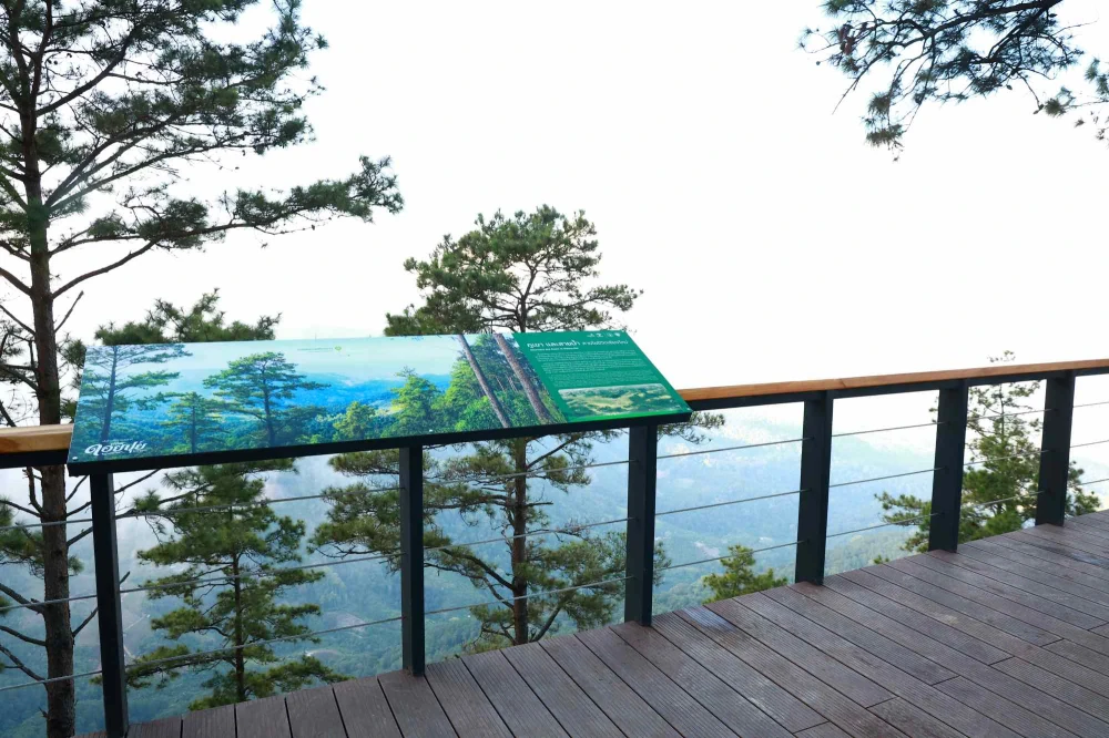 EGCO Group โดย มูลนิธิไทยรักษ์ป่า ส่งมอบ “เส้นทางศึกษาธรรมชาติยอดดอยปุย” เส้นทางป่าหลังบ้านเมืองเชียงใหม่ ชูแหล่งเรียนรู้นิเวศประวัติศาสตร์ที่เข้าถึงง่าย