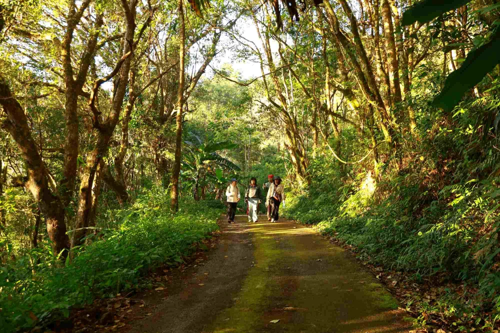 EGCO Group โดย มูลนิธิไทยรักษ์ป่า ส่งมอบ “เส้นทางศึกษาธรรมชาติยอดดอยปุย” เส้นทางป่าหลังบ้านเมืองเชียงใหม่ ชูแหล่งเรียนรู้นิเวศประวัติศาสตร์ที่เข้าถึงง่าย